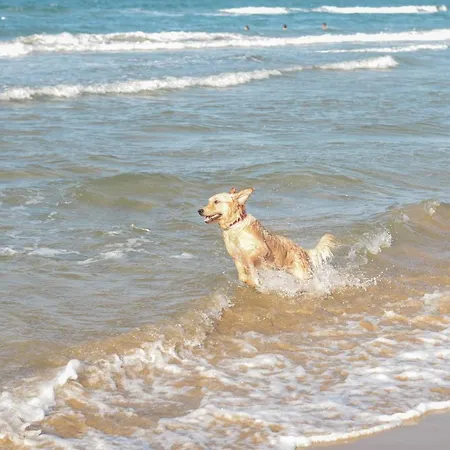 Aldeamento Turístico Villaggio Club Degli Ulivi Vieste